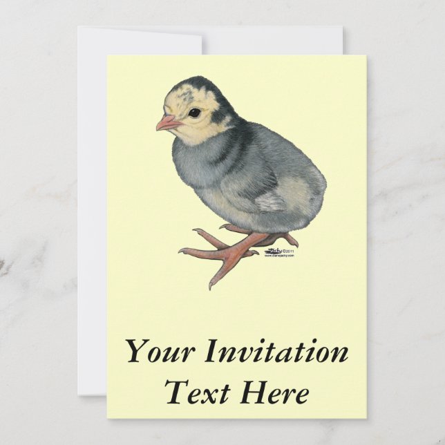 Turkey Poult Blue Slate Einladung (Vorderseite)