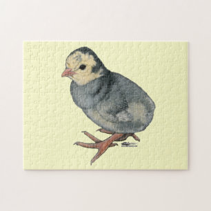 Turkey Poult Blue Slate Puzzle