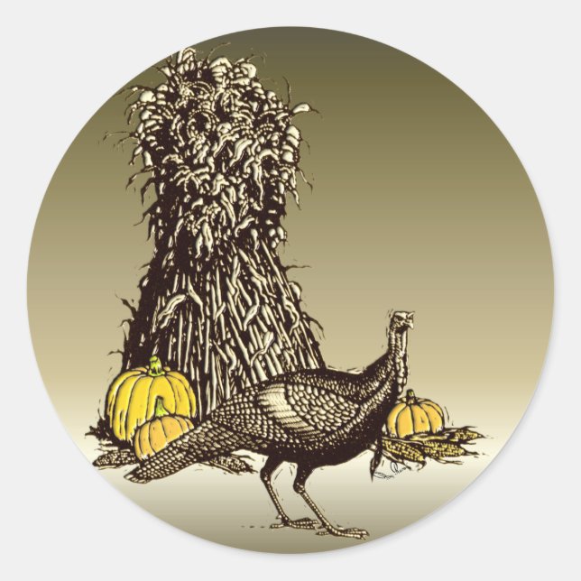 Turkey Pumpkin Runder Aufkleber (Vorderseite)