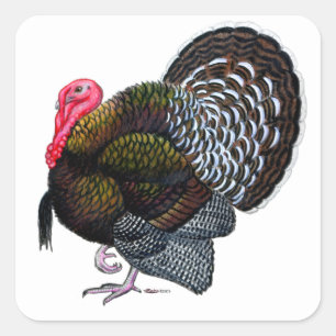 Turkey Quadratischer Aufkleber