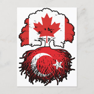 Turkey Turkish Canadian Canada Postkarte
