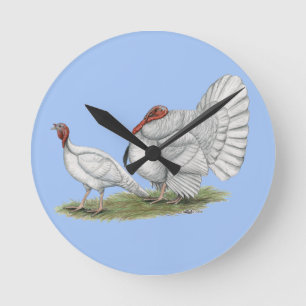Turkeys White Holland Runde Wanduhr