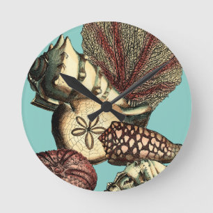 Türkis-Muschel und rote Korallen-Sammlung Runde Wanduhr