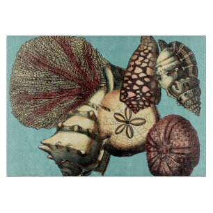 Türkis-Muschel und rote Korallen-Sammlung Schneidebrett