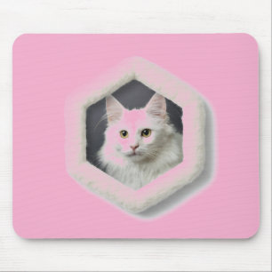 Türkische Angora-Katze in einem Rahmen Mousepad