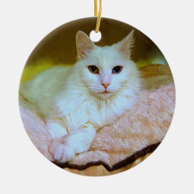 Türkische Angora-Prinzessin Cat Ornament (Vorne)