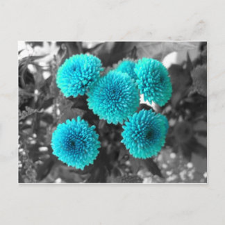 Türkische Blume Postkarte