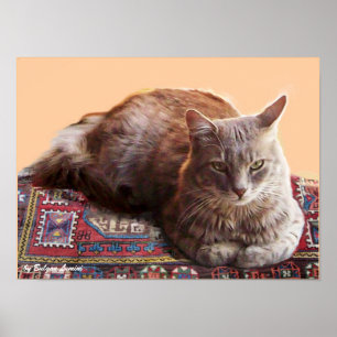 TÜRKISCHE KATZE AUF DEM ALTEN KARPET POSTER