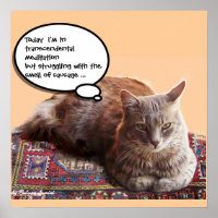 TÜRKISCHE KATZE IN TRANSZENDENTALER MEDITATION