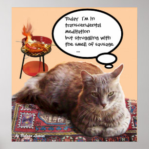 TÜRKISCHE KATZE IN TRANSZENDENTALER MEDITATION POSTER