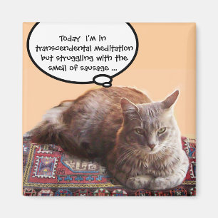 TÜRKISCHE KATZE IN ÜBERSCHREITENDER MEDITUNG MAGNET