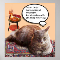 TÜRKISCHE KATZE IN ÜBERSCHREITENDER MEDITUNG