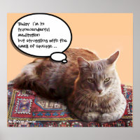 TÜRKISCHE KATZE IN ÜBERSCHREITENDER MEDITUNG