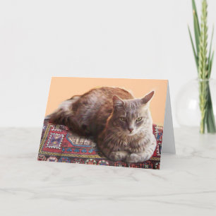 TÜRKISCHE KATZE SITZT AUF DEM ALTEN TEPPICH KARTE