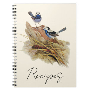 Türkische Küche Superb Warbler, Notizblock