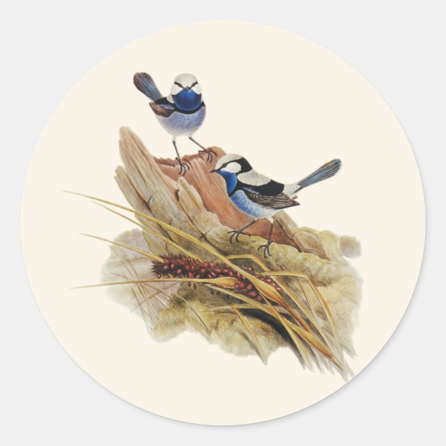 Türkische Küche Superb Warbler, Runder Aufkleber (Vorderseite)