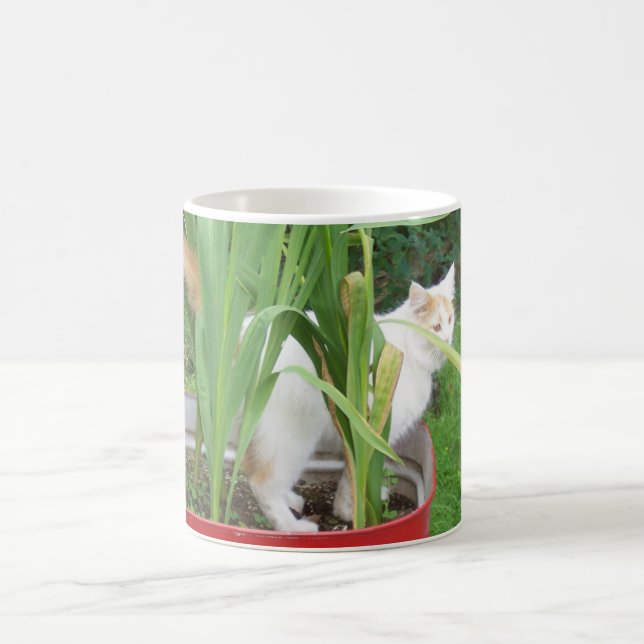 TÜRKISCHE VAN-KATZE FÜR BLUME TASSE (Mittel)