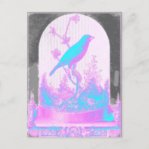 Türkischer Blauer Vogel, blassrosa, lila, schwarz Postkarte