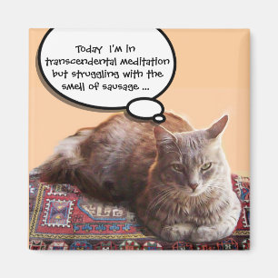 TÜRKISCHER CAT IN DER TRANSCENDENTAL MEDITATION MAGNET