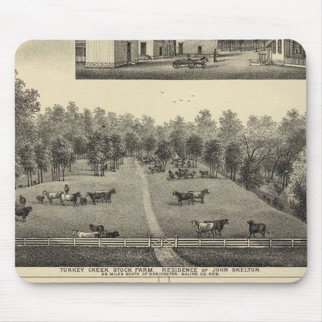 Türkischer Creek-Bauernhof, Nebraska Mousepad (Vorne)