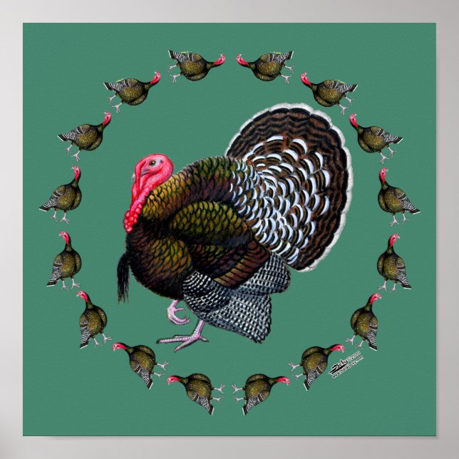 Türkischer Kreis Poster (Vorne)