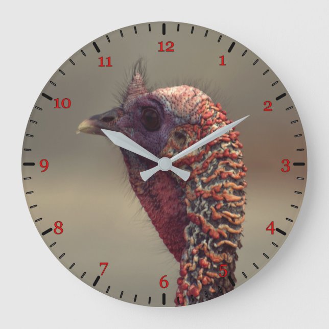 Türkisches Vogelportrait Große Wanduhr (Vorderseite)