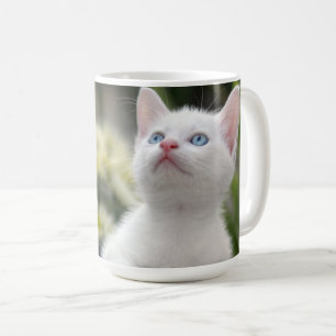 Türkisches weißes Kätzchen Kaffeetasse