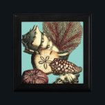 Türkisfarbene Muschel und Rote Koralle Geschenkbox<br><div class="desc">Gehen Sie unter Wasser,  um das Meer mit all diesen verschiedenen Meereslebewesen zu erkunden. Dieses Vintage Kunstwerk ist eine perfekte Ergänzung zu allen Meeresanemonisten mit einem lebendigen türkisfarbenen Hintergrund und roten Akzenten an den Muscheln. Holen Sie sich noch heute Ihren Kunstdruck auf Ihr Produkt.</div>