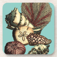 Türkisfarbene Muschel und Rote Koralle