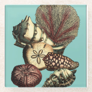 Türkisfarbene Muschel und Rote Koralle Glasuntersetzer