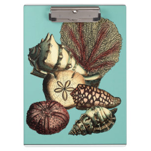 Türkisfarbene Muschel und Rote Koralle Klemmbrett