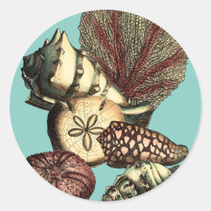 Türkisfarbene Muschel und Rote Koralle Runder Aufkleber