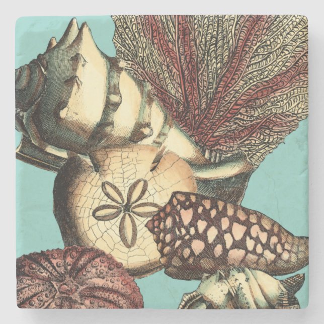 Türkisfarbene Muschel und Rote Koralle Steinuntersetzer (Vorderseite)