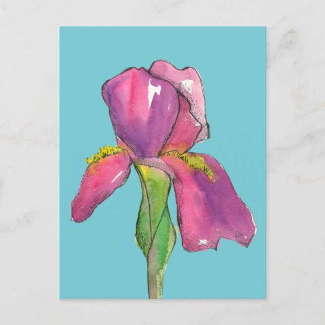 Türkisfarbene Rosa-Iris-Blume Postkarte (Vorderseite)