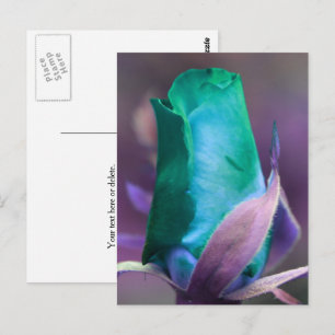 Türkisfarbene Rosenknospe-Blumen Personalisiert Postkarte