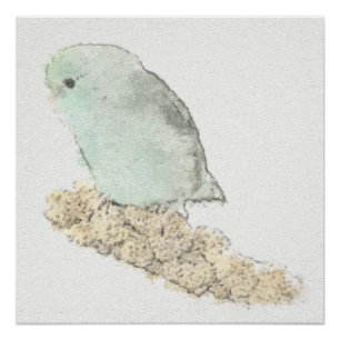 Türkisfarbener Parrotlet auf der Mühle Wasserfarbe Poster