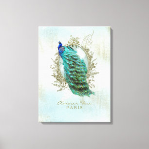 Türkisfarbener Shabby Pfau - Wickel-Leinwand Leinwanddruck