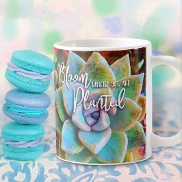 Türkisgrüne Kakteen blühen, wo Sie gepflanzt werde Kaffeetasse