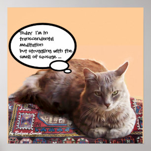 TURKISH CAT IN TRANSCENDENTAL MEDITATION POSTER