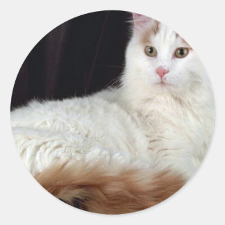 Turkish Van Runder Aufkleber