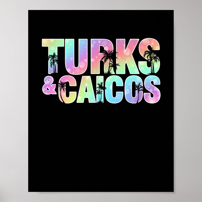 Turks & Caicos Palmen Bäume Souvenir Poster (Vorne)