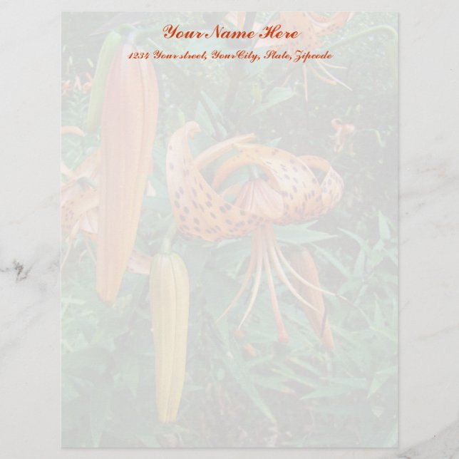 Turk's Cap Lily Wildblume Briefkopf (Vorderseite)