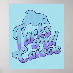 Turks und Caicos Dolphin Poster
