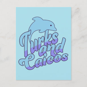 Turks und Caicos Dolphin Postkarte