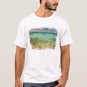 Turks und Caicos, Grand Turk Island, Cockburn 2 T-Shirt