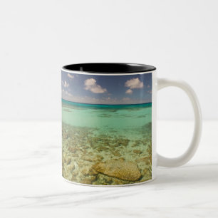 Turks und Caicos, Grand Turk Island, Cockburn 2 Zweifarbige Tasse
