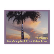 TURKS UND CAICOS POSTCARD/"ICH HABE PALMBAUM ADOPT