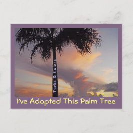 TURKS UND CAICOS POSTCARD/"ICH HABE PALMBAUM ADOPT POSTKARTE
