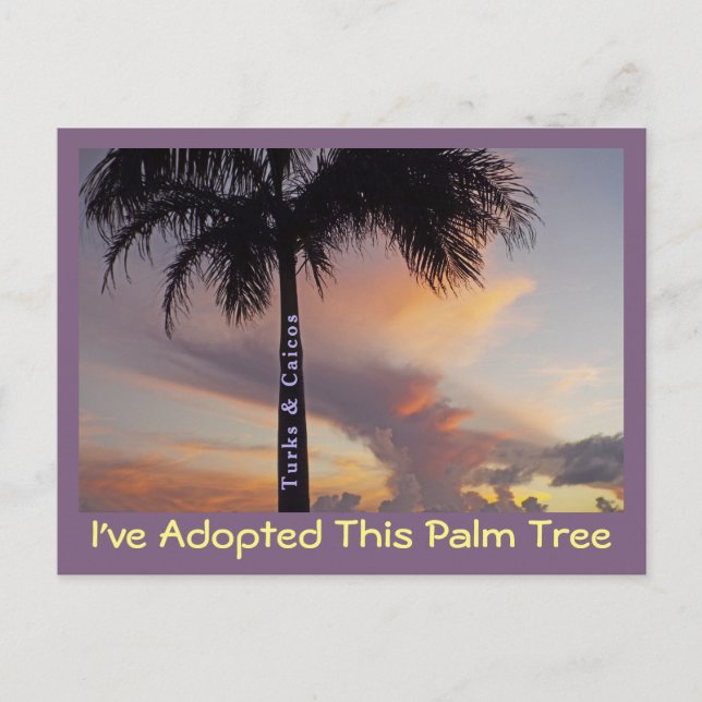 TURKS UND CAICOS POSTCARD/"ICH HABE PALMBAUM ADOPT POSTKARTE (Vorderseite)