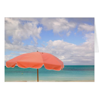 Turks und Caicos, Providenciales Island, Grace